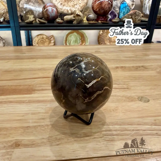 Reserve Petrified Wood Sphere 3.13’’ Sphere