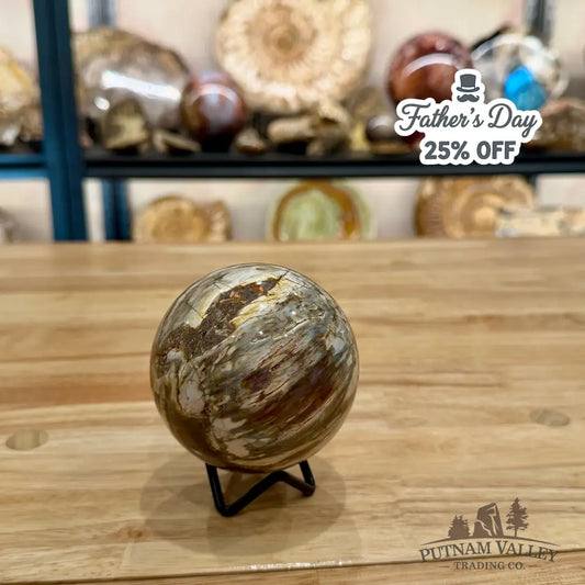 Reserve Petrified Wood Sphere 3.22’’ Sphere