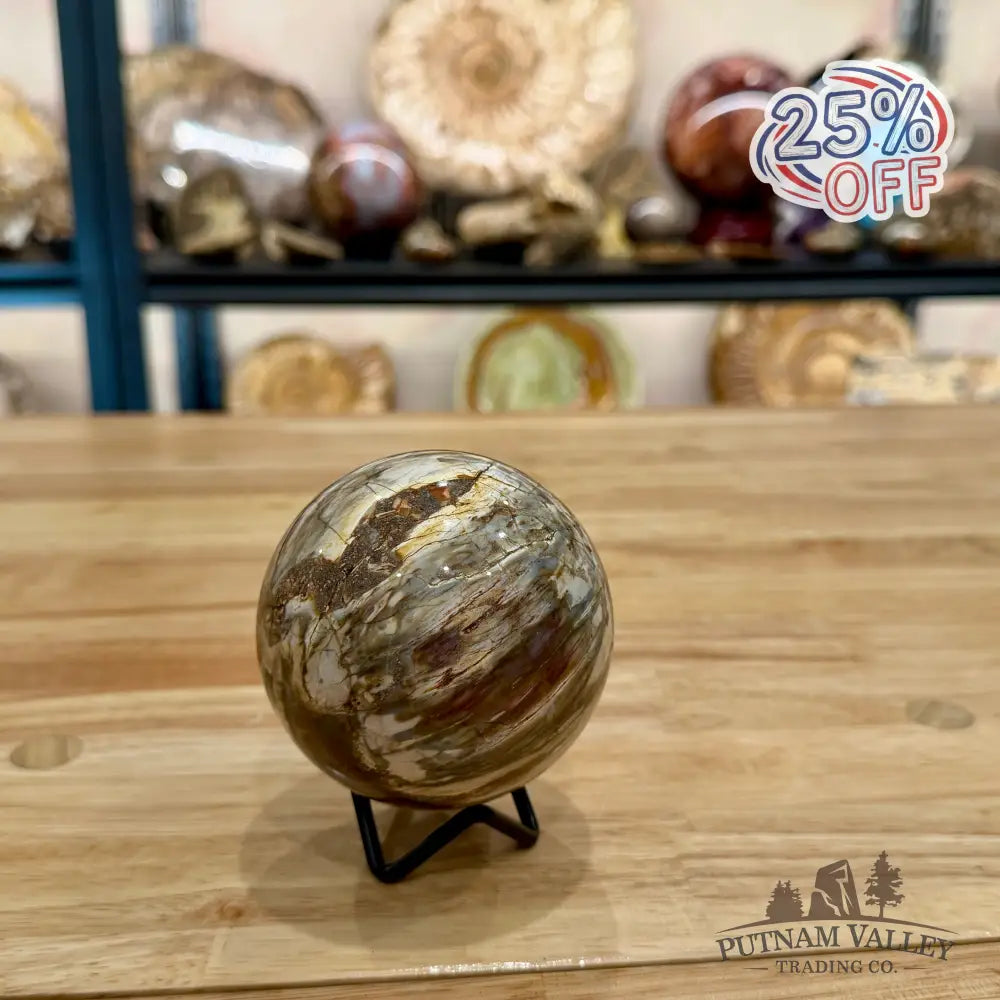 Reserve Petrified Wood Sphere 3.22’’ Sphere