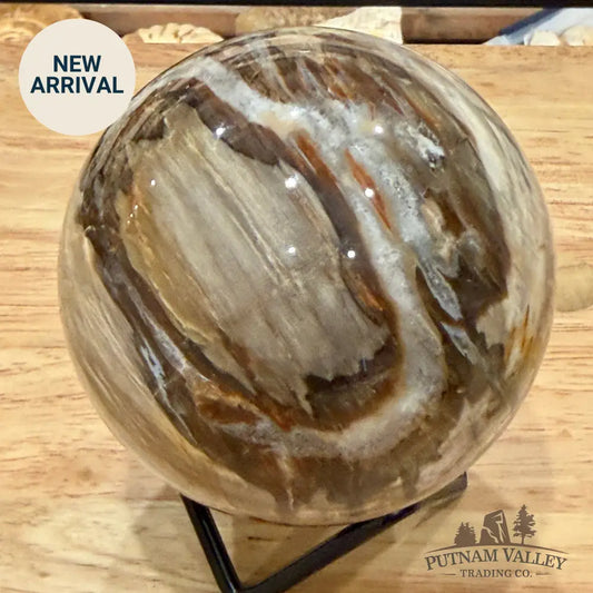 Reserve Madagascar Petrified Wood Sphere 3.27’’ - Sphere