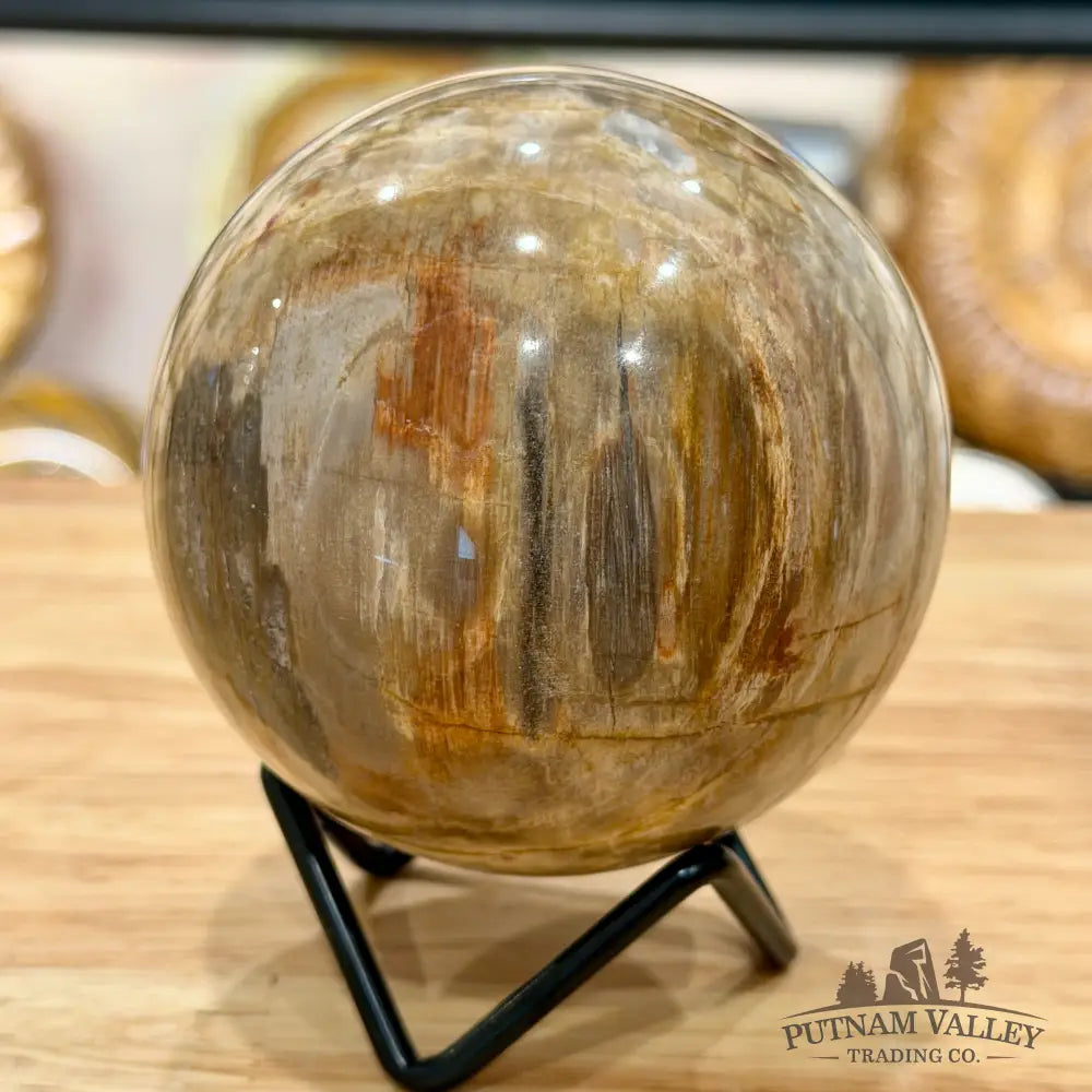 Reserve Madagascar Petrified Wood Sphere 3.27’’ - Sphere