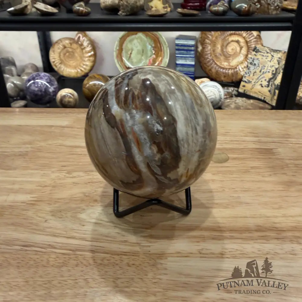 Reserve Madagascar Petrified Wood Sphere 3.27’’ - Sphere