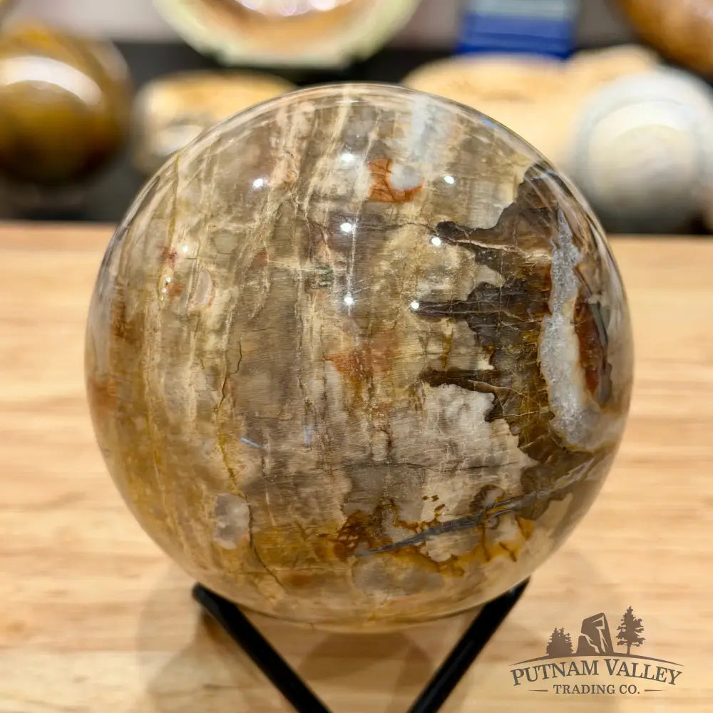 Reserve Madagascar Petrified Wood Sphere 3.27’’ - Sphere