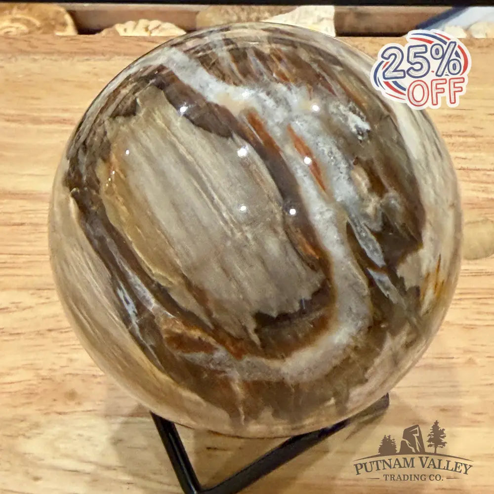 Reserve Madagascar Petrified Wood Sphere 3.27’’ - Sphere