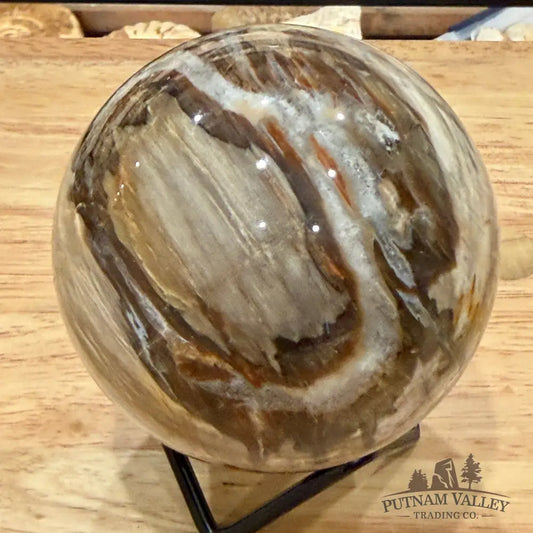 Reserve Madagascar Petrified Wood Sphere 3.27’’ - Sphere