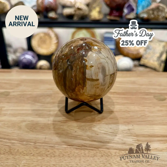Reserve Madagascar Petrified Wood Sphere 3.31’’ - Sphere