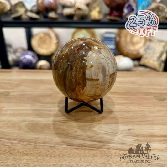Reserve Madagascar Petrified Wood Sphere 3.31’’ - Sphere