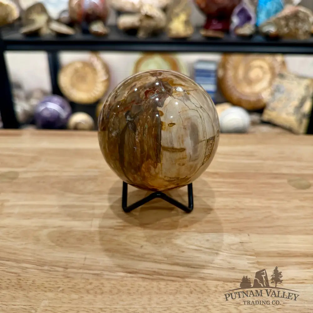 Reserve Madagascar Petrified Wood Sphere 3.31’’ - Sphere