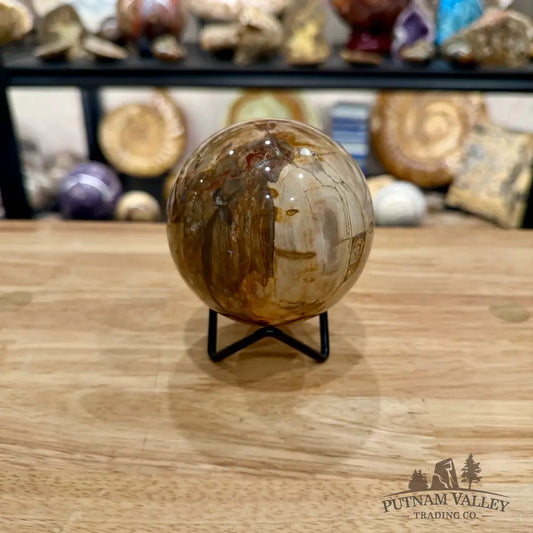 Reserve Madagascar Petrified Wood Sphere 3.31’’ - Sphere