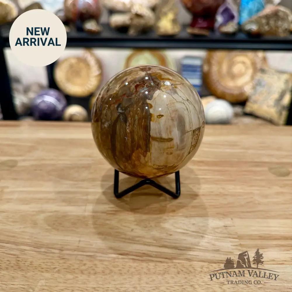 Reserve Madagascar Petrified Wood Sphere 3.31’’ - Sphere