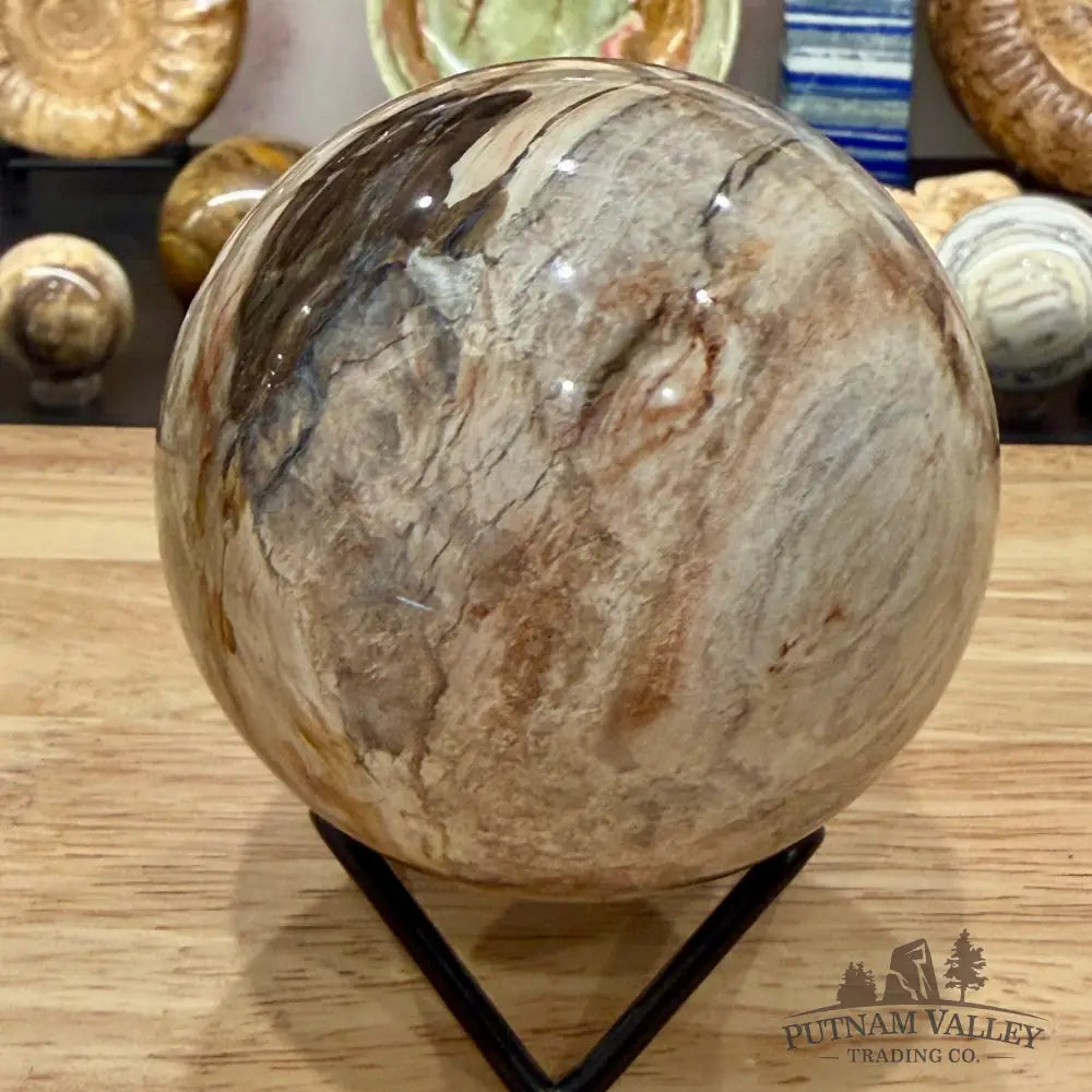 Reserve Madagascar Petrified Wood Sphere 3.31’’ - Sphere