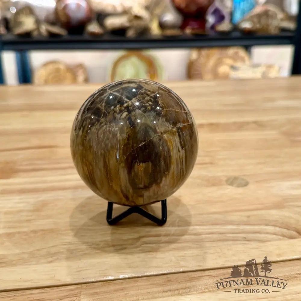 Reserve Petrified Wood Sphere 3.37’’ Sphere