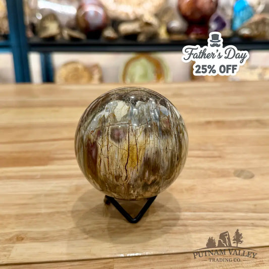 Reserve Petrified Wood Sphere 3.37’’ Sphere