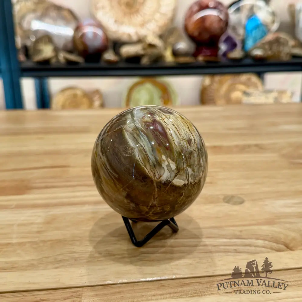 Reserve Petrified Wood Sphere 3.37’’ Sphere