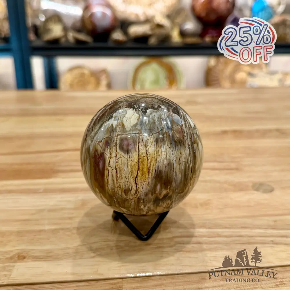 Reserve Petrified Wood Sphere 3.37’’ Sphere