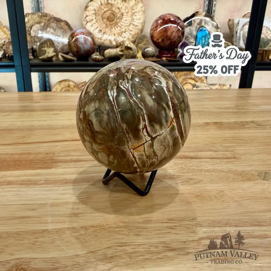 Reserve Petrified Wood Sphere 3.4’’ Sphere