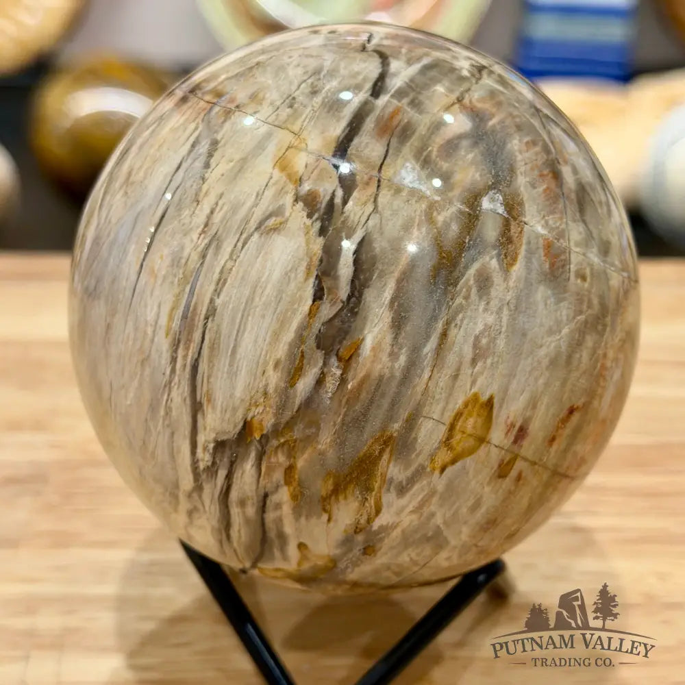 Reserve Madagascar Petrified Wood Sphere 3.45’’ - Sphere