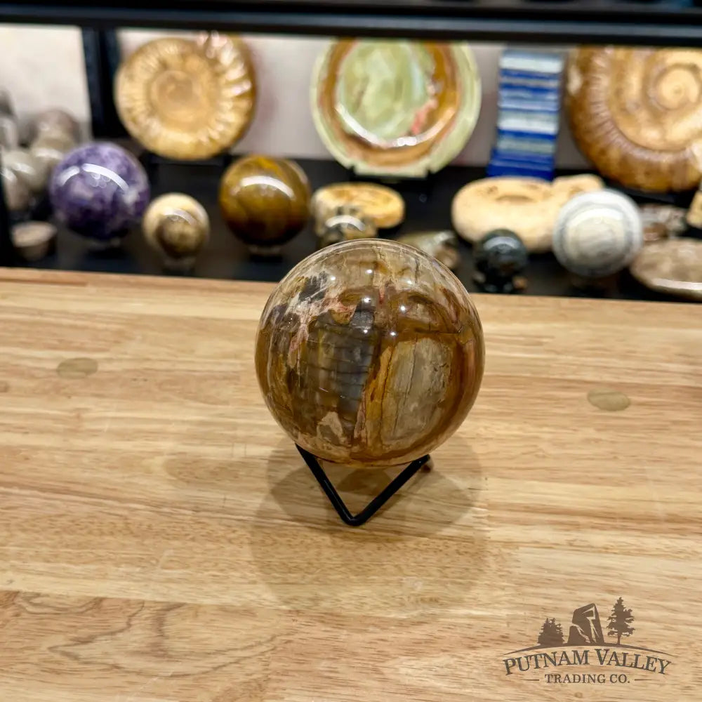 Reserve Madagascar Petrified Wood Sphere 3.45’’ - Sphere