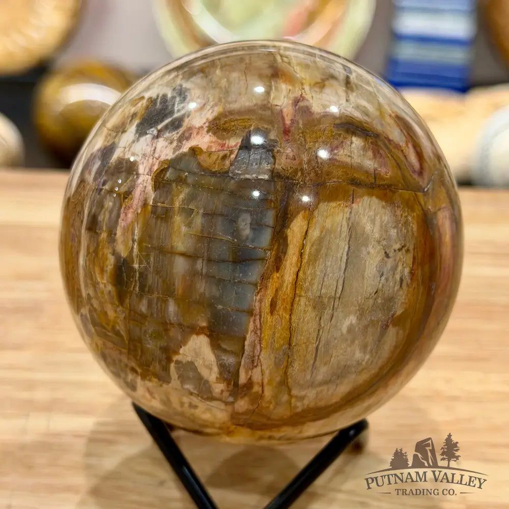 Reserve Madagascar Petrified Wood Sphere 3.45’’ - Sphere