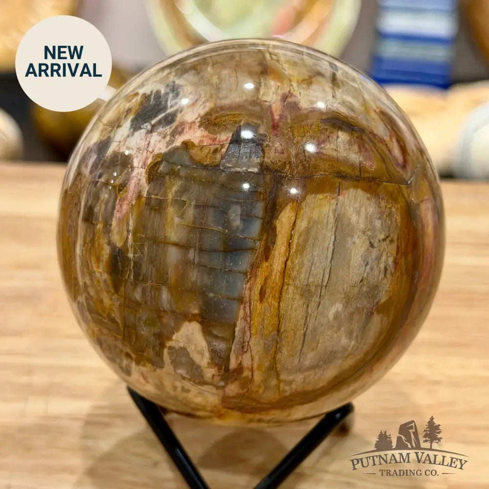 Reserve Madagascar Petrified Wood Sphere 3.45’’ - Sphere