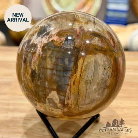 Reserve Madagascar Petrified Wood Sphere 3.45’’ - Sphere