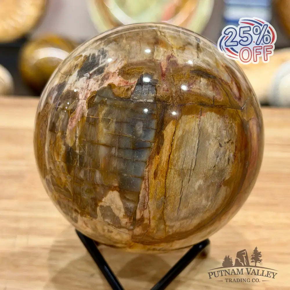 Reserve Madagascar Petrified Wood Sphere 3.45’’ - Sphere