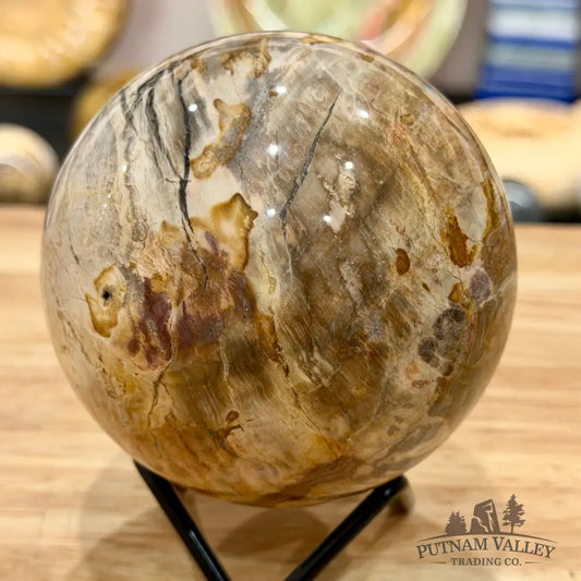 Reserve Madagascar Petrified Wood Sphere 3.45’’ - Sphere