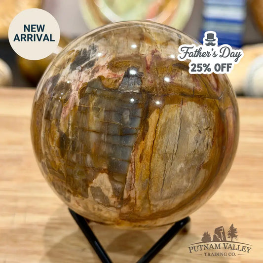 Reserve Madagascar Petrified Wood Sphere 3.45’’ - Sphere