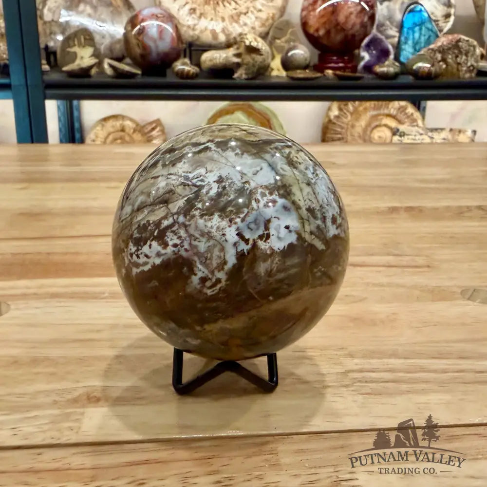 Reserve Petrified Wood Sphere 3.46’’ Sphere