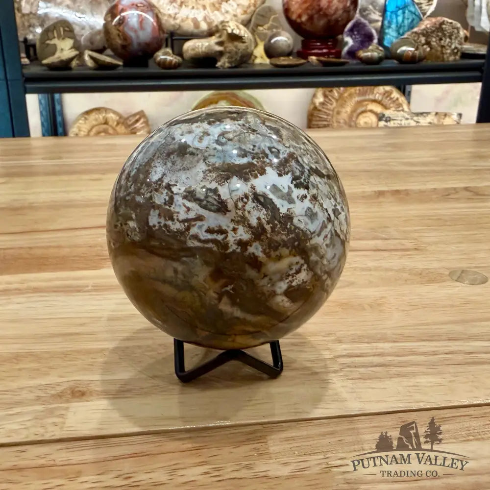 Reserve Petrified Wood Sphere 3.46’’ Sphere