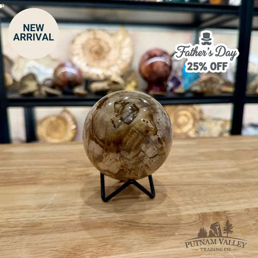 Reserve Madagascar Petrified Wood Sphere 3.49’’ - Sphere