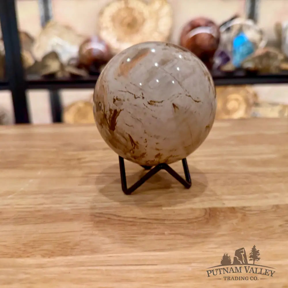 Reserve Madagascar Petrified Wood Sphere 3.49’’ - Sphere