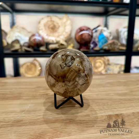 Reserve Madagascar Petrified Wood Sphere 3.49’’ - Sphere