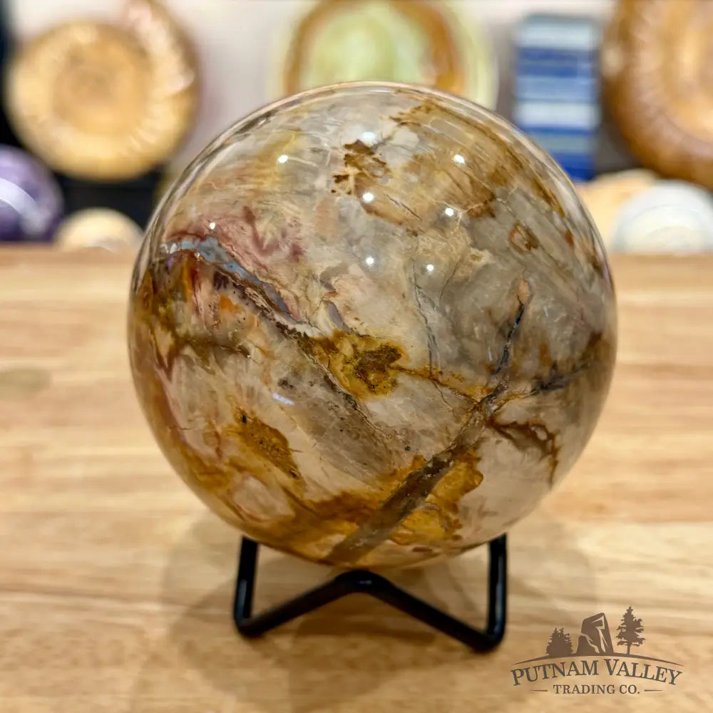 Reserve Madagascar Petrified Wood Sphere 3.54’’ - Sphere