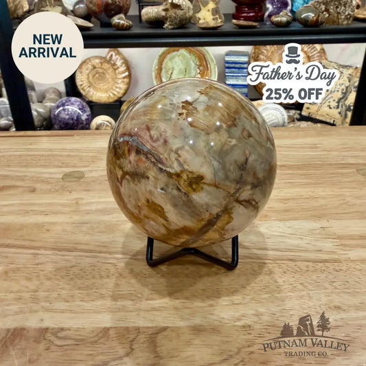 Reserve Madagascar Petrified Wood Sphere 3.54’’ - Sphere