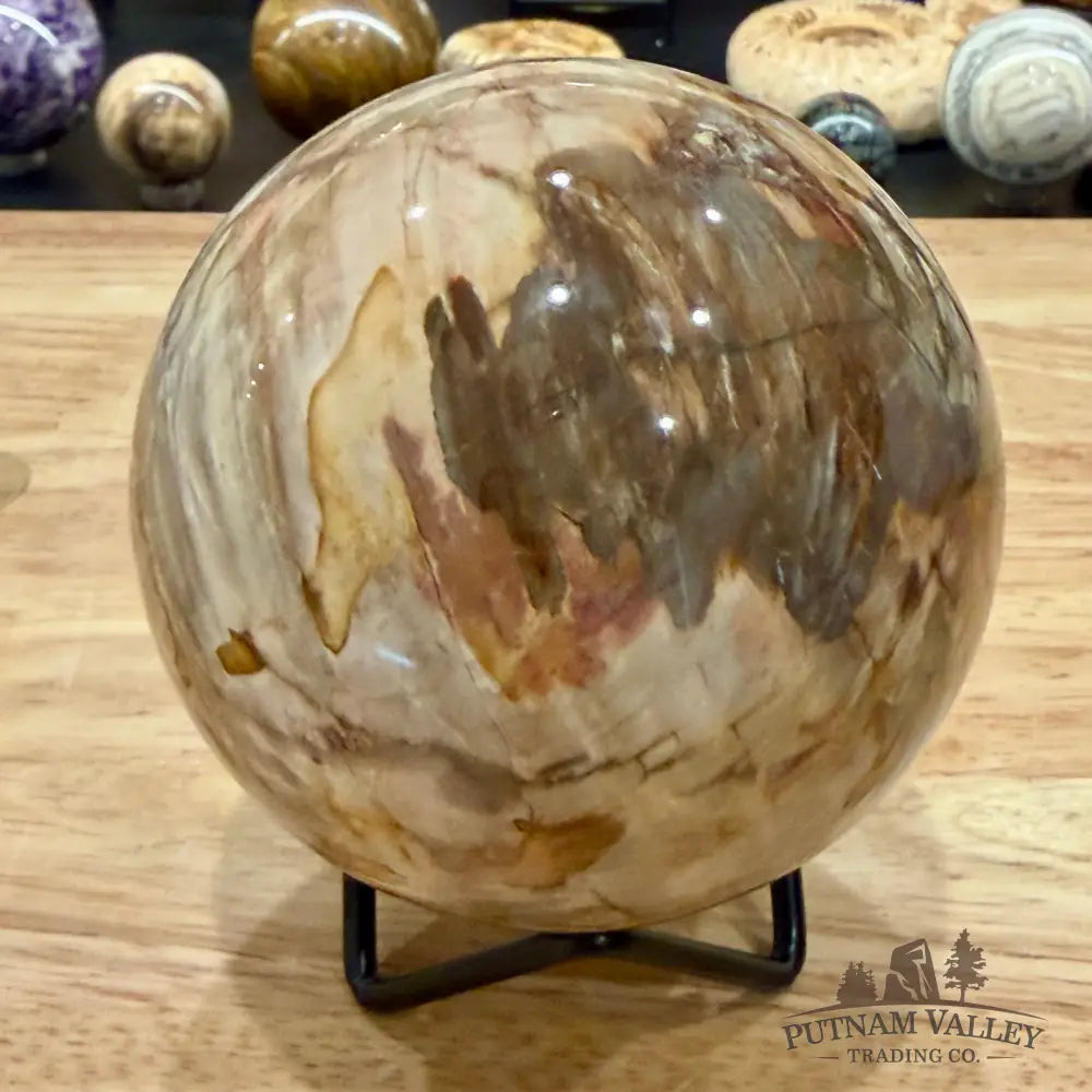 Reserve Madagascar Petrified Wood Sphere 3.54’’ - Sphere