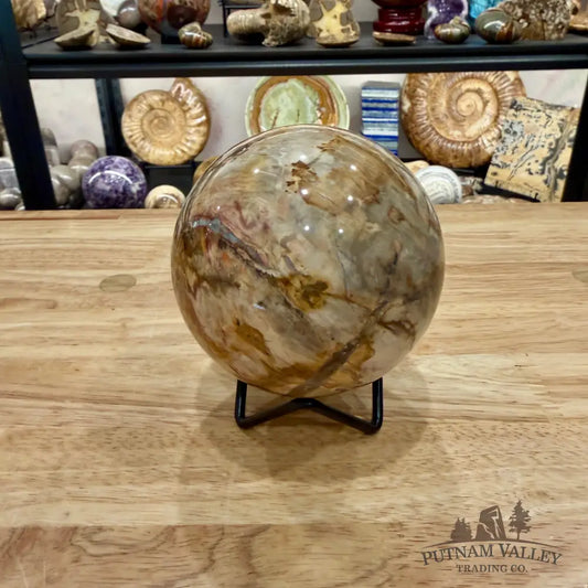 Reserve Madagascar Petrified Wood Sphere 3.54’’ - Sphere