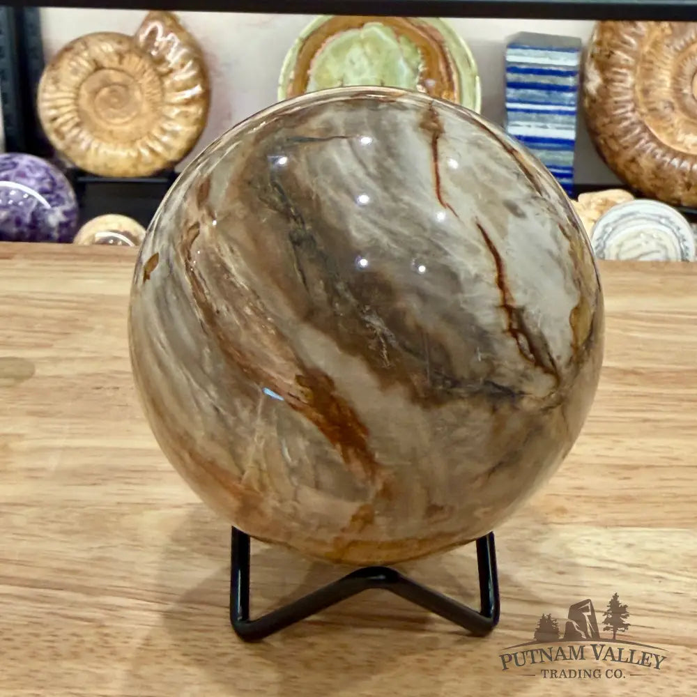 Reserve Madagascar Petrified Wood Sphere 3.54’’ - Sphere