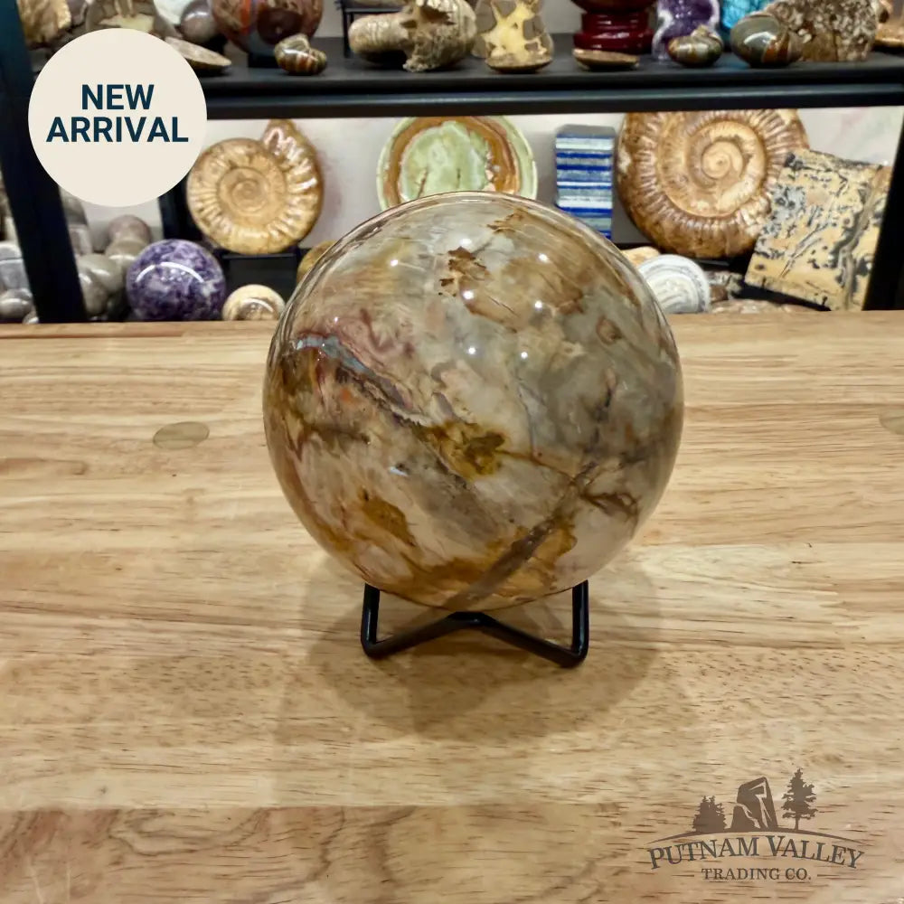 Reserve Madagascar Petrified Wood Sphere 3.54’’ - Sphere
