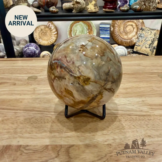 Reserve Madagascar Petrified Wood Sphere 3.54’’ - Sphere