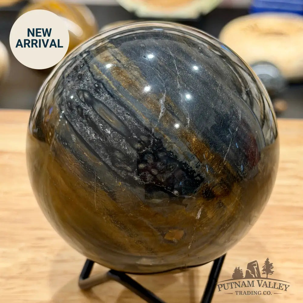 Reserve Madagascar Petrified Wood Sphere 3.55’’ - Sphere