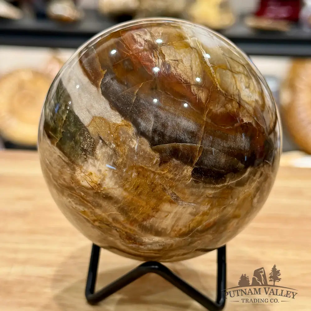 Reserve Madagascar Petrified Wood Sphere 3.55’’ - Sphere