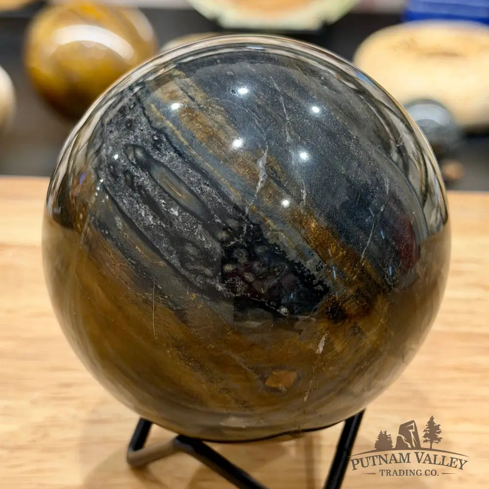 Reserve Madagascar Petrified Wood Sphere 3.55’’ - Sphere