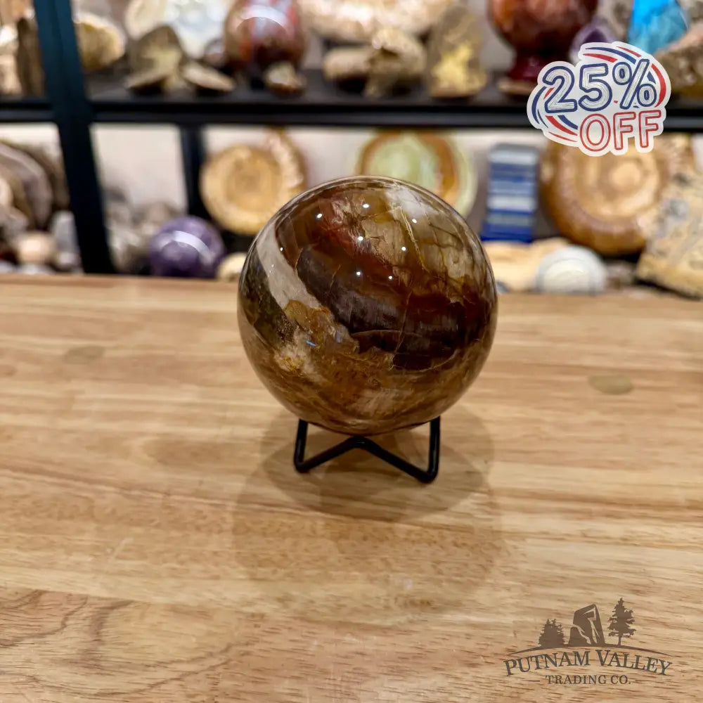 Reserve Madagascar Petrified Wood Sphere 3.55’’ - Sphere