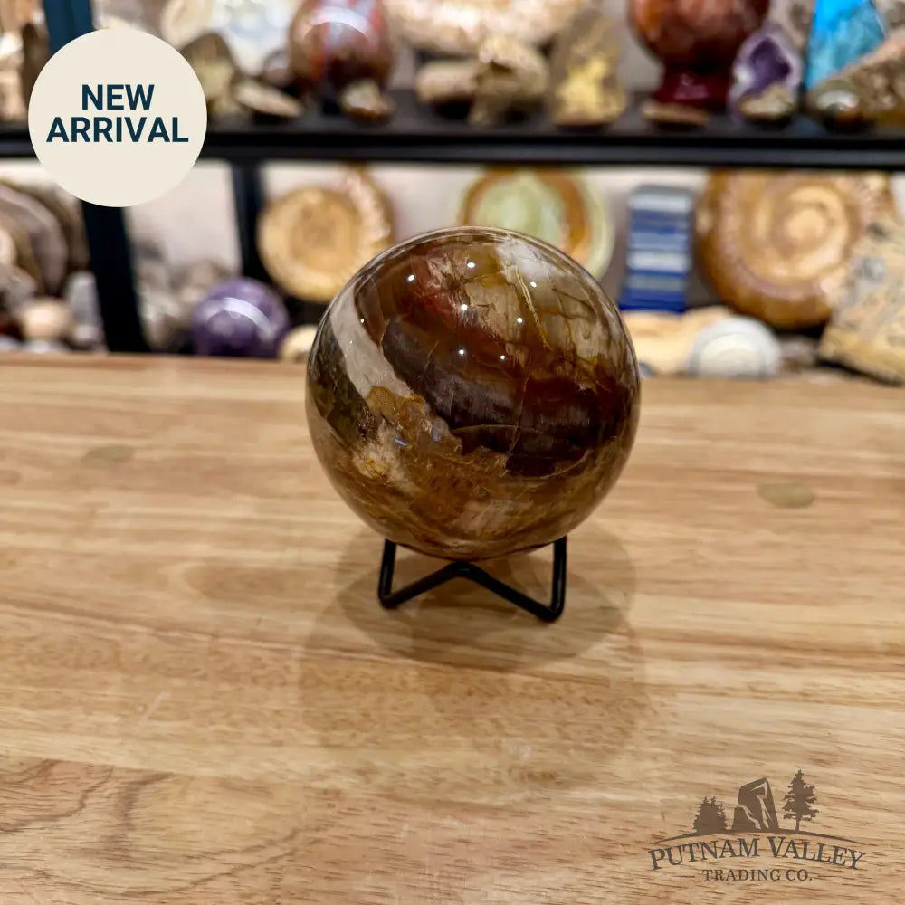 Reserve Madagascar Petrified Wood Sphere 3.55’’ - Sphere