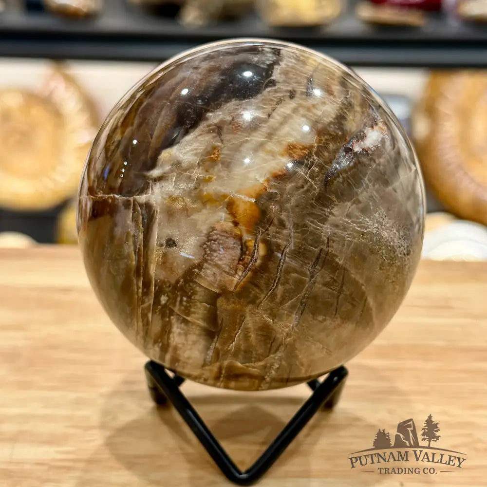 Reserve Madagascar Petrified Wood Sphere 3.55’’ - Sphere