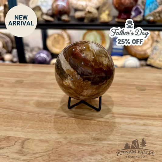 Reserve Madagascar Petrified Wood Sphere 3.55’’ - Sphere