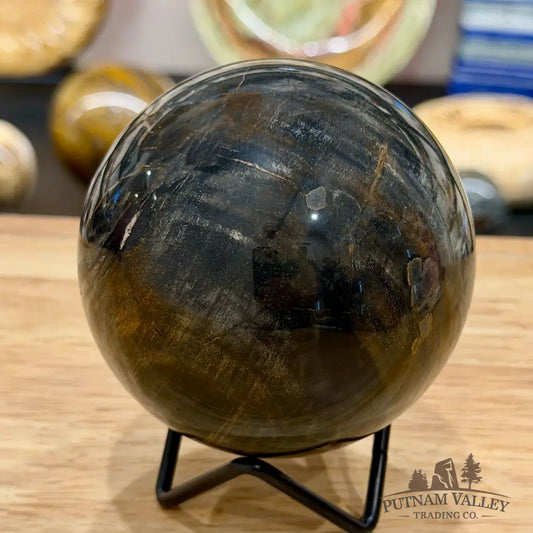 Reserve Madagascar Petrified Wood Sphere 3.55’’ - Sphere