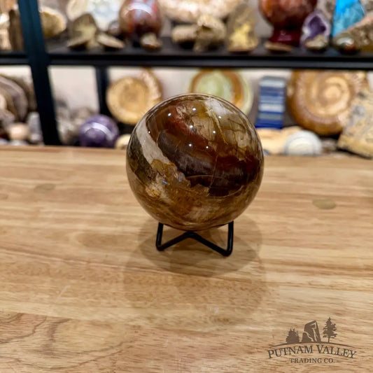 Reserve Madagascar Petrified Wood Sphere 3.55’’ - Sphere