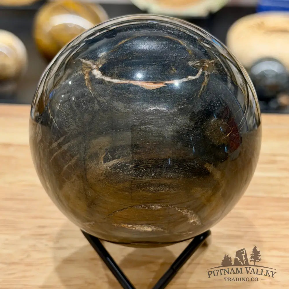 Reserve Madagascar Petrified Wood Sphere 3.55’’ - Sphere